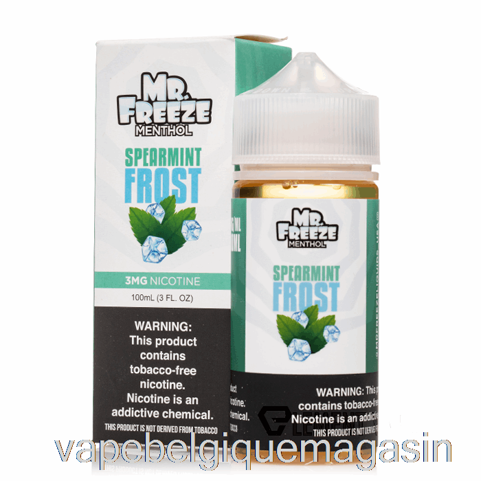 Vape Jetable Menthe Verte Frost - Mr Freeze - 100ml 3mg